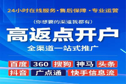 某电商平台的SEM广告投放策略及效果评估